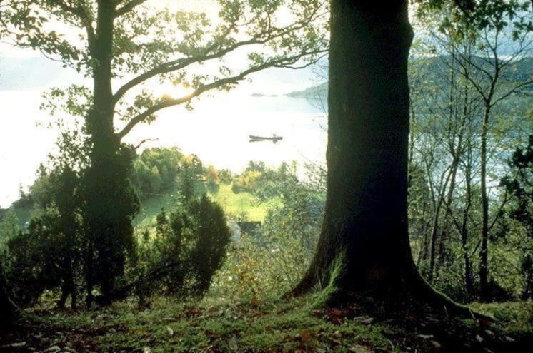 Hardanger Feriesenter Neshagen Villa Norheimsund Bagian luar foto