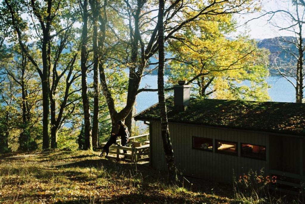 Hardanger Feriesenter Neshagen Villa Norheimsund Bagian luar foto