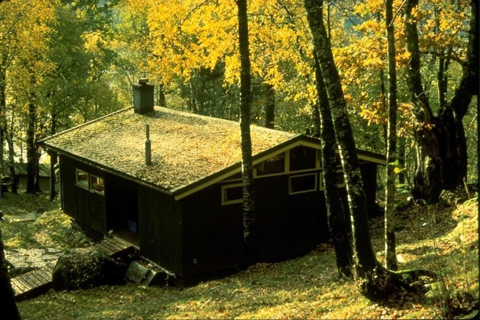 Hardanger Feriesenter Neshagen Villa Norheimsund Bagian luar foto